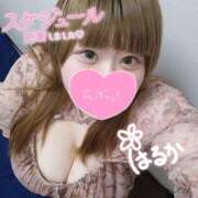 ヒメ日記 2025/11/16 07:00 投稿 遥～HARUKA～ BBW 西川口店