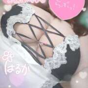 ヒメ日記 2025/11/20 07:01 投稿 遥～HARUKA～ BBW 西川口店