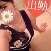 ヒメ日記 2025/07/13 14:02 投稿 みなみ ハイブリッドヘルス西川口