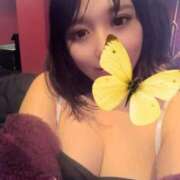 ヒメ日記 2025/12/31 20:53 投稿 カリナ バニーコレクション秋田店