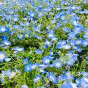 絢香 はじめまして 出会い系人妻ネットワーク 新宿〜池袋編