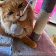 ヒメ日記 2025/06/16 21:05 投稿 さりな お客様満足度NO.1デリヘル！ 秘密倶楽部 凛 千葉