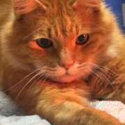 ヒメ日記 2025/08/18 21:09 投稿 さりな お客様満足度NO.1デリヘル！ 秘密倶楽部 凛 千葉