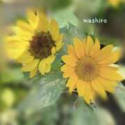 ましろ 夏の思い出に🌺 人妻倶楽部 内緒の関係 大宮店