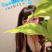 ヒメ日記 2025/05/16 17:51 投稿 むつみ 大宮おかあさん