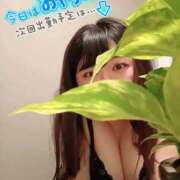 ヒメ日記 2025/08/26 23:06 投稿 むつみ 大宮おかあさん