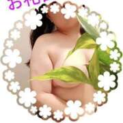 ヒメ日記 2025/09/23 15:26 投稿 むつみ 大宮おかあさん