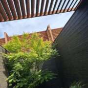 ヒメ日記 2025/06/17 11:27 投稿 なえあ 日本橋・谷九サンキュー