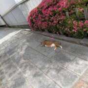 ヒメ日記 2025/06/25 09:28 投稿 むつみ 川越おかあさん