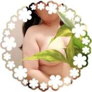 ヒメ日記 2025/07/30 18:58 投稿 むつみ 川越おかあさん