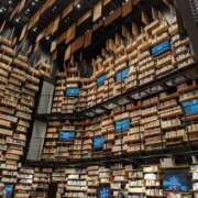 ヒメ日記 2025/10/22 22:28 投稿 むつみ 川越おかあさん