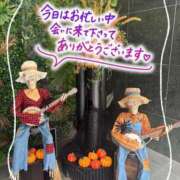 ヒメ日記 2025/09/11 15:48 投稿 シズク Celeb Garden(セレブガーデン)