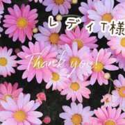 ヒメ日記 2025/11/25 15:19 投稿 シズク Celeb Garden(セレブガーデン)