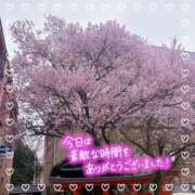 ヒメ日記 2026/04/01 13:03 投稿 シズク Celeb Garden(セレブガーデン)