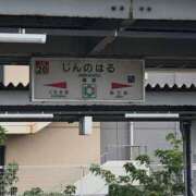 ヒメ日記 2025/06/20 16:17 投稿 ありす 待ちナビ