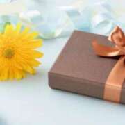 ヒメ日記 2025/06/21 09:41 投稿 ありす 待ちナビ