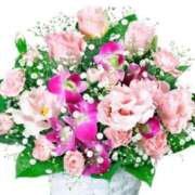 ヒメ日記 2025/06/21 10:05 投稿 ありす 待ちナビ