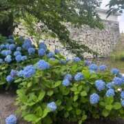 ヒメ日記 2025/06/24 10:58 投稿 ありす 待ちナビ