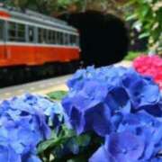 ヒメ日記 2025/06/25 16:06 投稿 ありす 待ちナビ