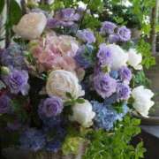 ヒメ日記 2025/06/27 18:55 投稿 ありす 待ちナビ