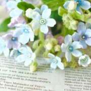 ヒメ日記 2025/06/29 16:25 投稿 ありす 待ちナビ