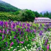 ヒメ日記 2025/07/11 10:07 投稿 ありす 待ちナビ