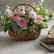 ヒメ日記 2025/07/18 13:25 投稿 ありす 待ちナビ