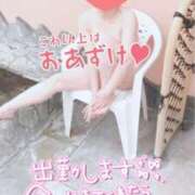 ヒメ日記 2025/07/27 09:15 投稿 ありす 待ちナビ