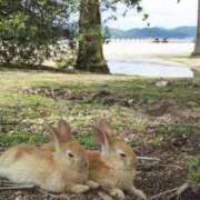 ヒメ日記 2025/07/28 11:46 投稿 ありす 待ちナビ