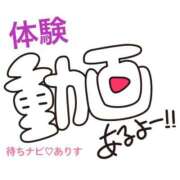 ヒメ日記 2025/08/08 13:07 投稿 ありす 待ちナビ