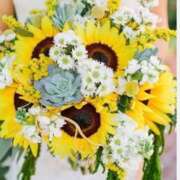 ヒメ日記 2025/08/09 10:13 投稿 ありす 待ちナビ