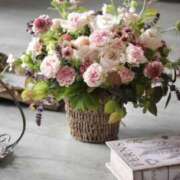 ヒメ日記 2025/08/14 18:05 投稿 ありす 待ちナビ