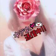 ヒメ日記 2025/08/15 09:45 投稿 ありす 待ちナビ