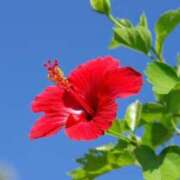 ヒメ日記 2025/08/15 13:05 投稿 ありす 待ちナビ