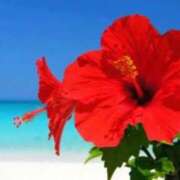 ヒメ日記 2025/08/22 12:15 投稿 ありす 待ちナビ