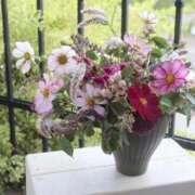 ヒメ日記 2025/09/06 11:34 投稿 ありす 待ちナビ