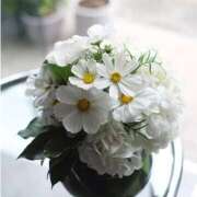 ヒメ日記 2025/09/12 09:25 投稿 ありす 待ちナビ