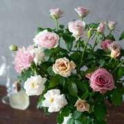 ヒメ日記 2025/09/15 11:37 投稿 ありす 待ちナビ