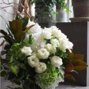 ヒメ日記 2025/09/26 15:15 投稿 ありす 待ちナビ