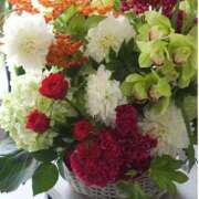 ヒメ日記 2025/09/28 11:15 投稿 ありす 待ちナビ