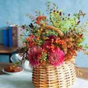 ヒメ日記 2025/09/28 14:41 投稿 ありす 待ちナビ