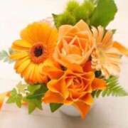 ヒメ日記 2025/10/21 11:45 投稿 ありす 待ちナビ