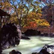 ヒメ日記 2025/10/26 09:55 投稿 ありす 待ちナビ