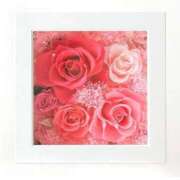 ヒメ日記 2025/11/16 12:29 投稿 ありす 待ちナビ