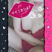 ヒメ日記 2025/11/21 12:15 投稿 ありす 待ちナビ