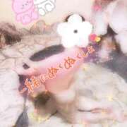 ヒメ日記 2025/12/04 23:34 投稿 ありす 待ちナビ