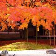 ヒメ日記 2025/12/13 08:55 投稿 ありす 待ちナビ