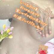 ヒメ日記 2026/01/15 19:15 投稿 ありす 待ちナビ