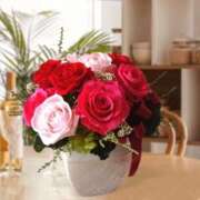 ヒメ日記 2026/01/18 11:16 投稿 ありす 待ちナビ