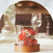 ヒメ日記 2026/01/19 12:53 投稿 ありす 待ちナビ